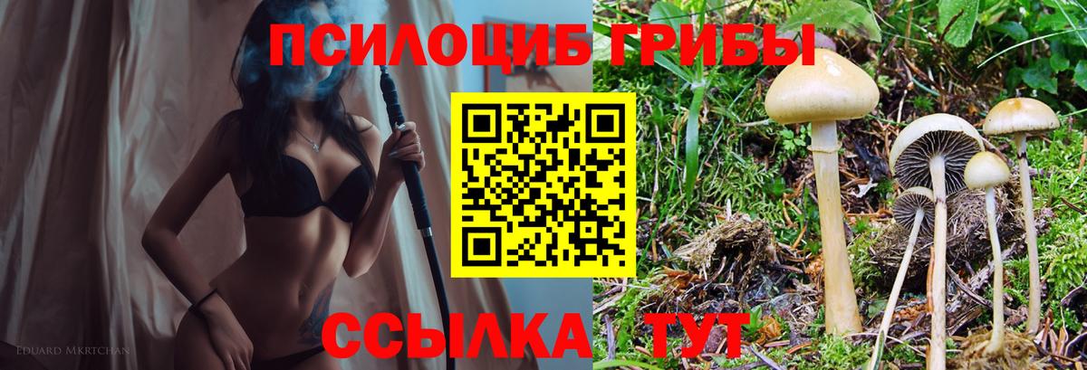 Галлюциногенные грибы Magic Shrooms Алексин